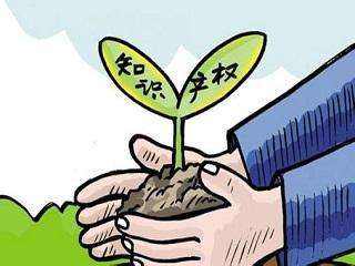 上海商标注册是属于知识产权吗
