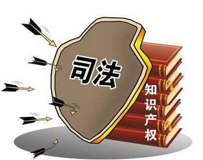 知识产权保护有什么不一样的